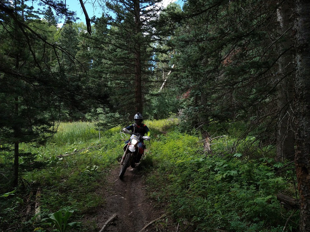 Red-dirt jungle trails